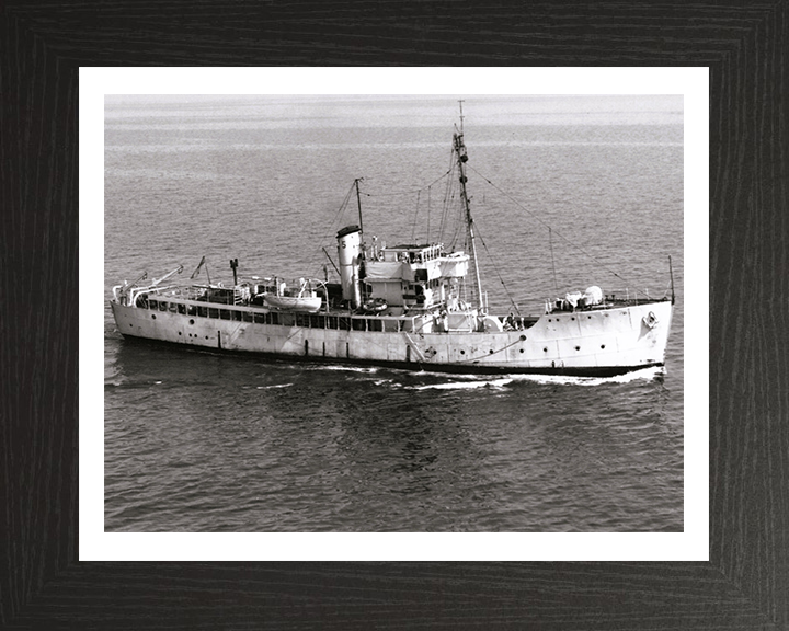 HMS Gateshead T288 Royal Navy Isles class Trawler Photo Print or Framed Print - Hampshire Prints