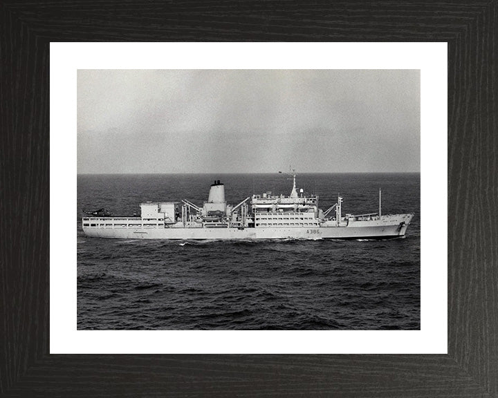 RFA Fort Austin A386 Royal Fleet Auxiliary Fort Rosalie Class replenishment ship Photo Print or Framed Print - Hampshire Prints