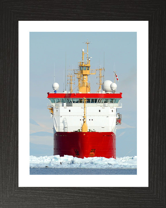 HMS Protector A173 Royal Navy Ice patrol ship Photo Print or Framed Print - Hampshire Prints