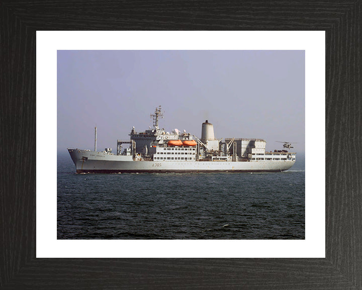 RFA Fort Rosalie A385 Royal Fleet Auxiliary Fort Rosalie Class replenishment ship Photo Print or Framed Print - Hampshire Prints