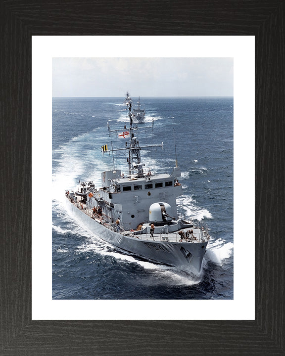 HMS Starling P241 | Photo Print | Framed Print | Peacock Class | Patrol Vessel | Royal Navy - Hampshire Prints