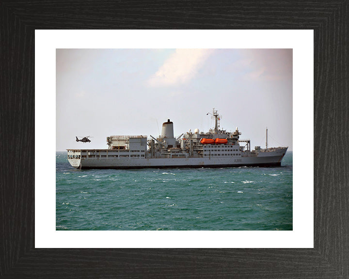 RFA Fort Austin A386 Royal Fleet Auxiliary Fort Rosalie Class replenishment ship Photo Print or Framed Print - Hampshire Prints