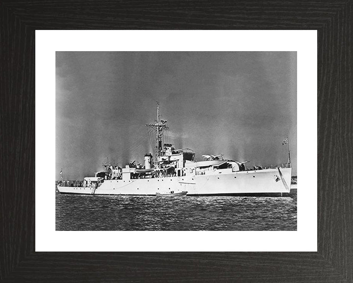 HMS Snipe U20 Royal Navy Modified Black Swan Class sloop Photo Print or Framed Print - Hampshire Prints