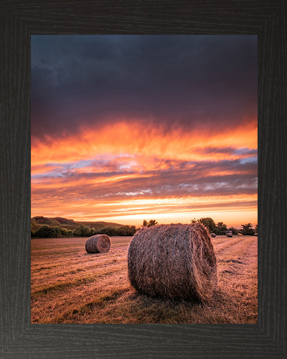 Hay bales at sunset in Hampshire Photo Print - Canvas - Framed Photo Print - Hampshire Prints