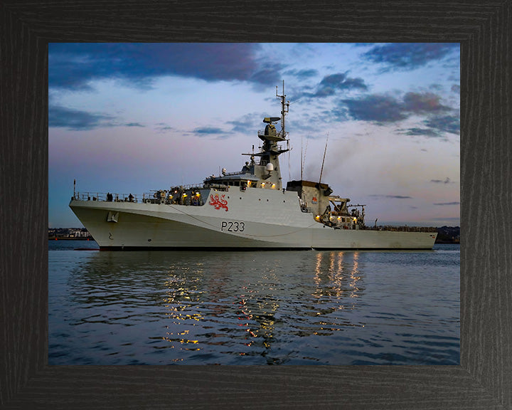 HMS Tamar P233 | Photo Print | Framed Print | River Class | Patrol Vessel | Royal Navy - Hampshire Prints