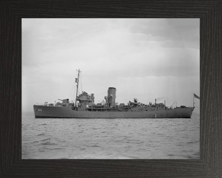 HMS Picotee K63 Royal Navy Flower class corvette Photo Print or Framed Print - Hampshire Prints