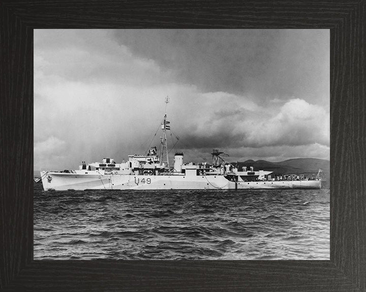 HMS Pheasant U49 Royal Navy Modified Black Swan Class sloop Photo Print or Framed Print - Hampshire Prints