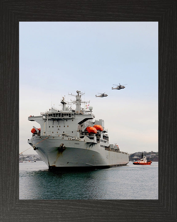 RFA Argus A135 Royal Fleet Auxiliary Casualty class Ship Photo Print or Framed Print - Hampshire Prints