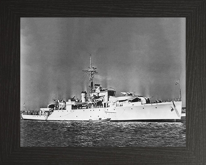 HMS Snipe U20 Royal Navy Modified Black Swan Class sloop Photo Print or Framed Print - Hampshire Prints