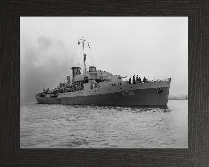 HMS Asphodel K56 Royal Navy Flower class corvette Photo Print or Framed Print - Hampshire Prints