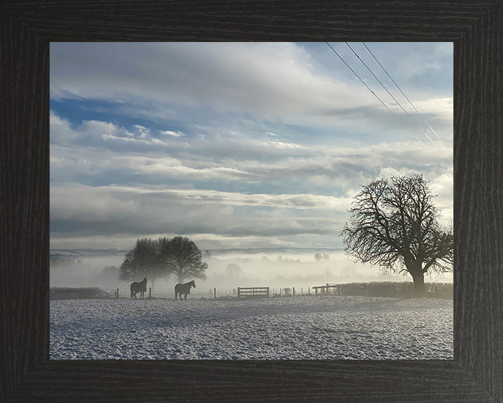 The Dorset countryside in winter Photo Print - Canvas - Framed Photo Print - Hampshire Prints