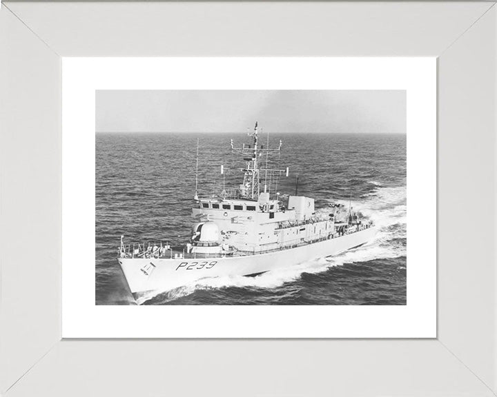 HMS Peacock P239 Royal Navy Peacock Class Patrol Vessel Photo Print or Framed Print - Hampshire Prints