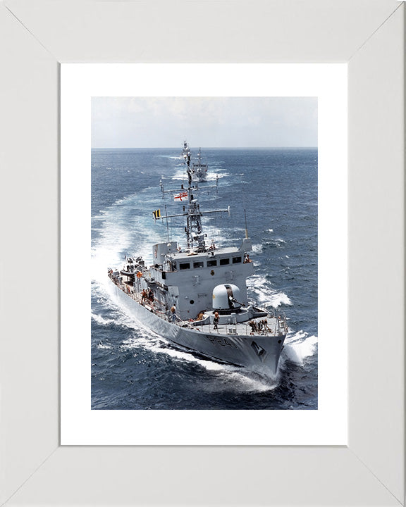 HMS Starling P241 | Photo Print | Framed Print | Peacock Class | Patrol Vessel | Royal Navy - Hampshire Prints