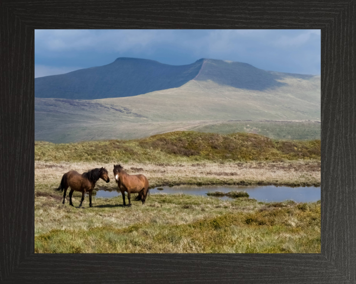 Ponies at Pen-y-fan Wales Photo Print - Canvas - Framed Photo Print - Hampshire Prints