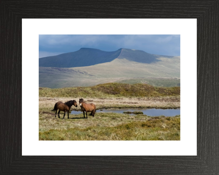 Ponies at Pen-y-fan Wales Photo Print - Canvas - Framed Photo Print - Hampshire Prints