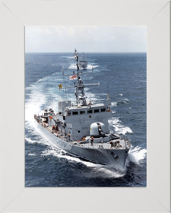 HMS Starling P241 | Photo Print | Framed Print | Peacock Class | Patrol Vessel | Royal Navy - Hampshire Prints