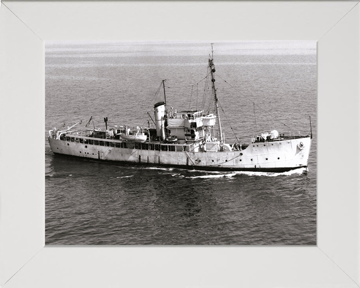 HMS Gateshead T288 Royal Navy Isles class Trawler Photo Print or Framed Print - Hampshire Prints