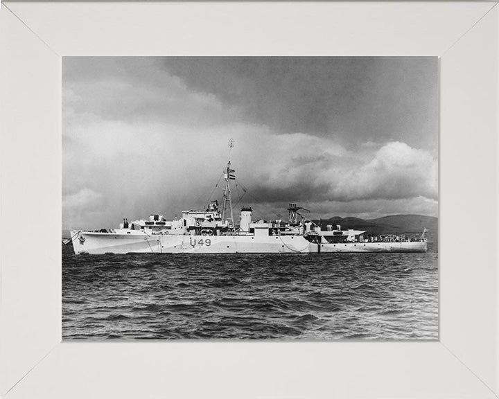 HMS Pheasant U49 Royal Navy Modified Black Swan Class sloop Photo Print or Framed Print - Hampshire Prints