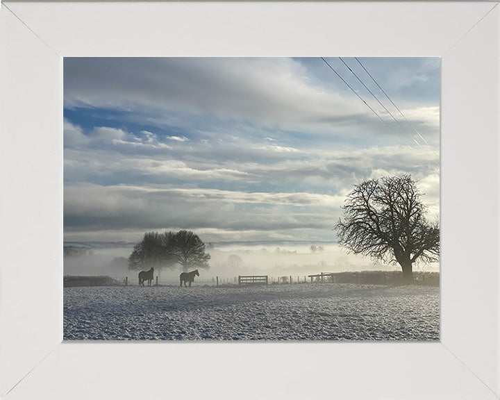 The Dorset countryside in winter Photo Print - Canvas - Framed Photo Print - Hampshire Prints