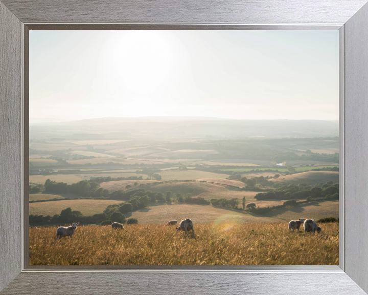 the Isle of Wight countryside Photo Print - Canvas - Framed Photo Print - Hampshire Prints