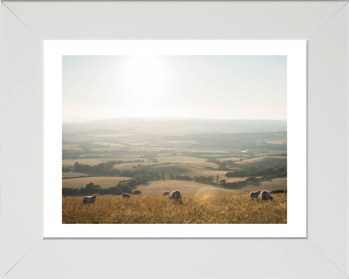 the Isle of Wight countryside Photo Print - Canvas - Framed Photo Print - Hampshire Prints