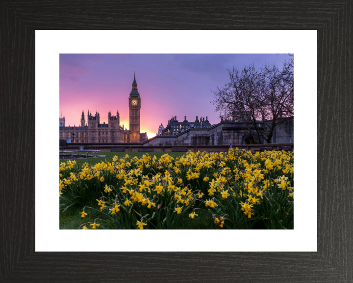 Westminster London in spring at sunset Photo Print - Canvas - Framed Photo Print - Hampshire Prints