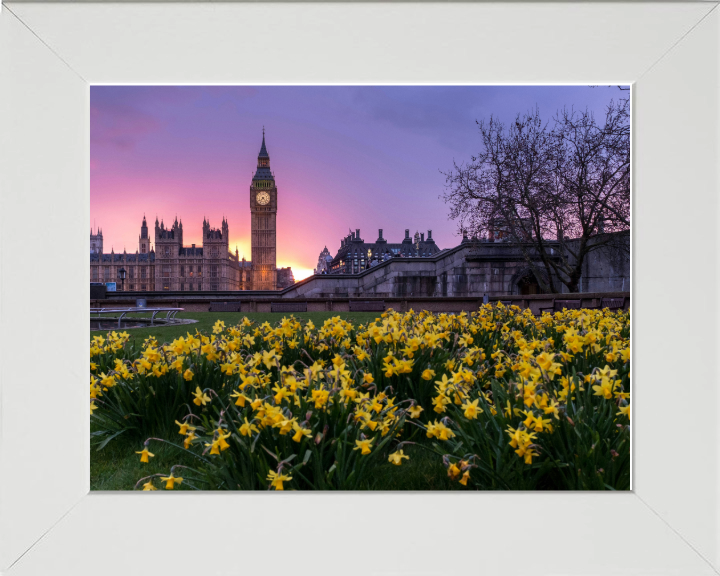 Westminster London in spring at sunset Photo Print - Canvas - Framed Photo Print - Hampshire Prints