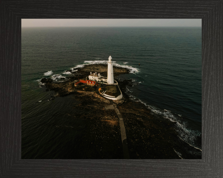 st marys lighthouse Northumberland from above Photo Print - Canvas - Framed Photo Print - Hampshire Prints