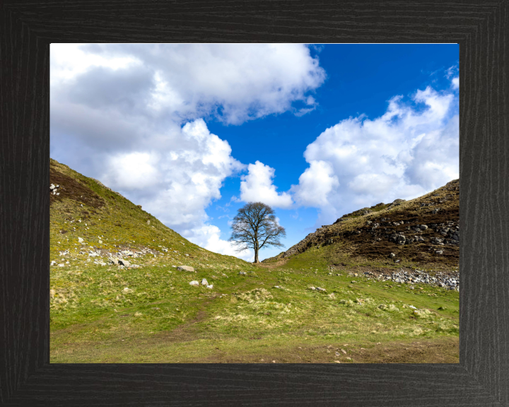 Sycamore Gap Hadrians Wall Northumberland Photo Print - Canvas - Framed Photo Print - Hampshire Prints