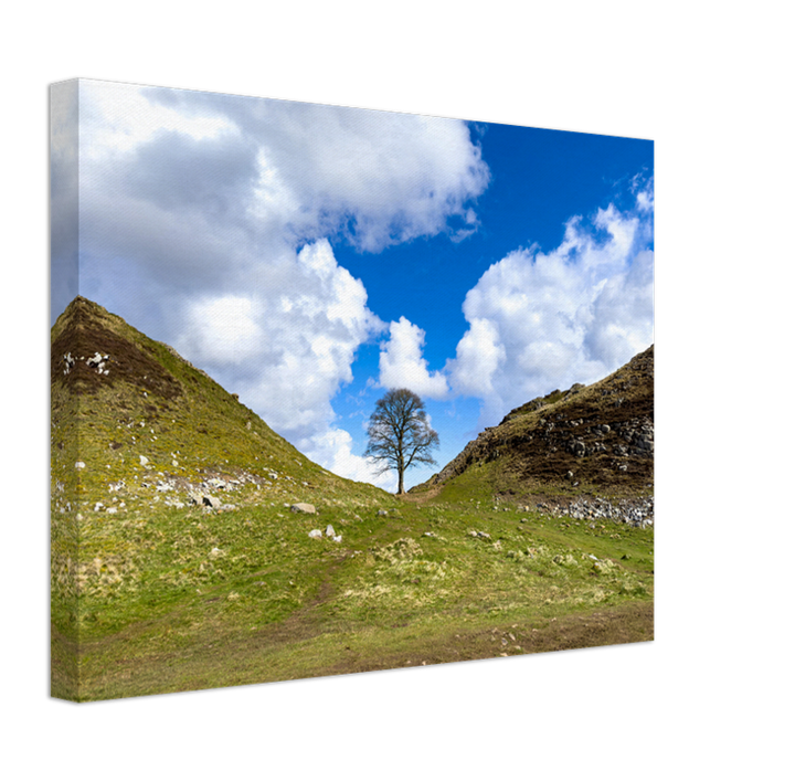 Sycamore Gap Hadrians Wall Northumberland Photo Print - Canvas - Framed Photo Print - Hampshire Prints