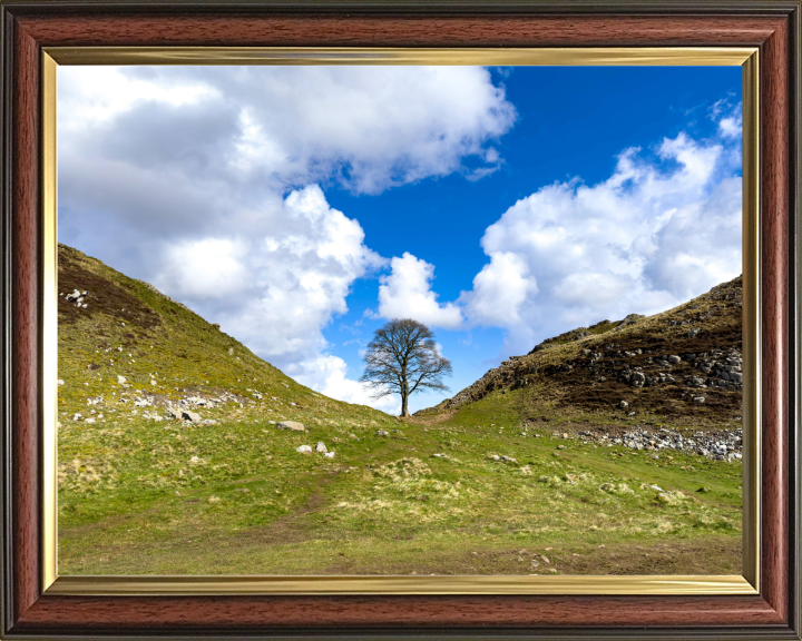 Sycamore Gap Hadrians Wall Northumberland Photo Print - Canvas - Framed Photo Print - Hampshire Prints