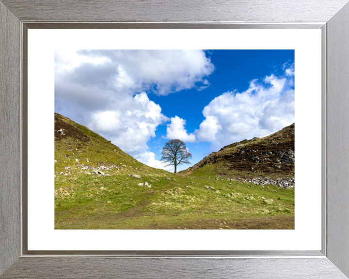 Sycamore Gap Hadrians Wall Northumberland Photo Print - Canvas - Framed Photo Print - Hampshire Prints