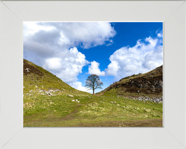 Sycamore Gap Hadrians Wall Northumberland Photo Print - Canvas - Framed Photo Print - Hampshire Prints