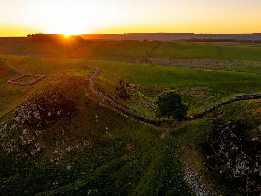 sycamore gap northumberland at sunset Photo Print - Canvas - Framed Photo Print - Hampshire Prints