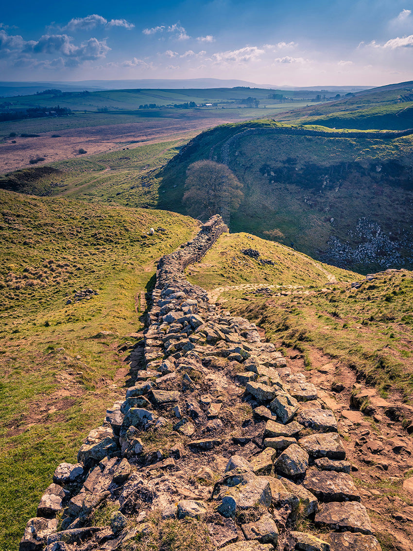 sycamore Gap Northumberland from Hadrians wall Photo Print - Canvas - Framed Photo Print - Hampshire Prints