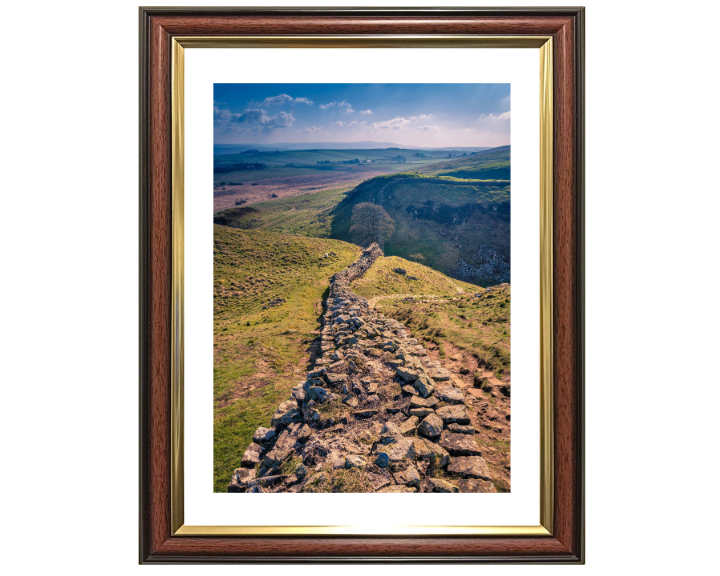 sycamore Gap Northumberland from Hadrians wall Photo Print - Canvas - Framed Photo Print - Hampshire Prints