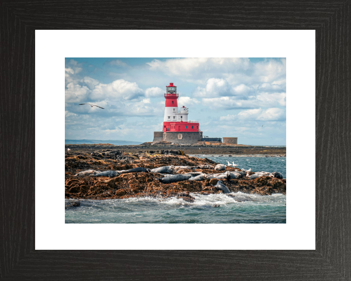 Inner Farne Lighthouse Northumberland Photo Print - Canvas - Framed Photo Print - Hampshire Prints