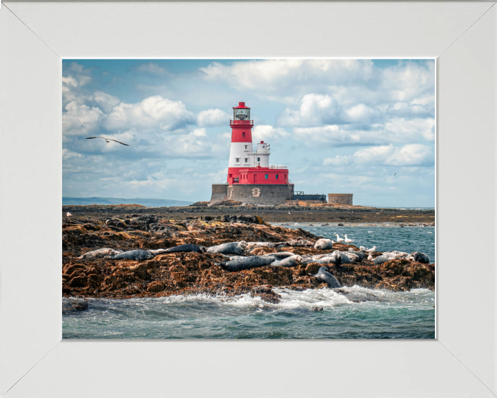 Inner Farne Lighthouse Northumberland Photo Print - Canvas - Framed Photo Print - Hampshire Prints