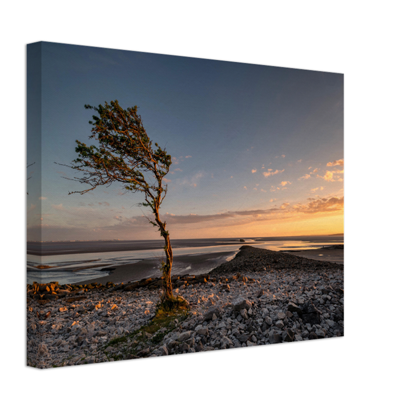 Jenny Browns Point Lancashire at sunset Photo Print - Canvas - Framed Photo Print - Hampshire Prints