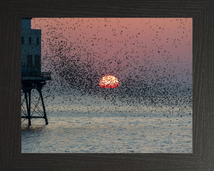 Murmurations at Fleetwood Pier Lancashire Photo Print - Canvas - Framed Photo Print - Hampshire Prints