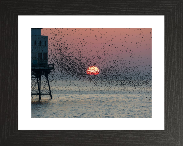 Murmurations at Fleetwood Pier Lancashire Photo Print - Canvas - Framed Photo Print - Hampshire Prints