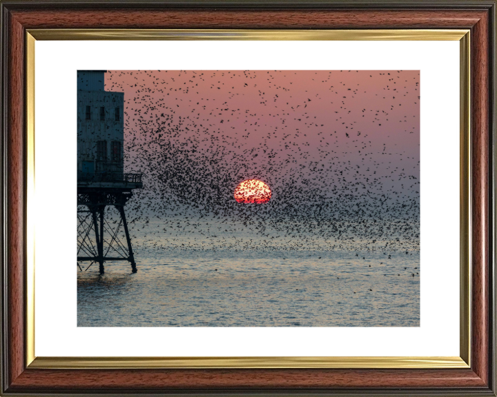 Murmurations at Fleetwood Pier Lancashire Photo Print - Canvas - Framed Photo Print - Hampshire Prints