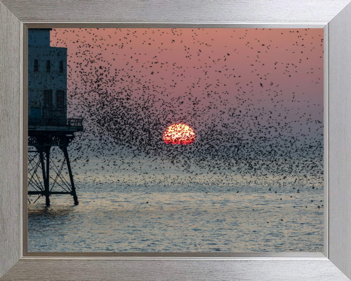 Murmurations at Fleetwood Pier Lancashire Photo Print - Canvas - Framed Photo Print - Hampshire Prints