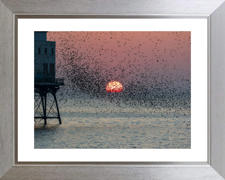 Murmurations at Fleetwood Pier Lancashire Photo Print - Canvas - Framed Photo Print - Hampshire Prints