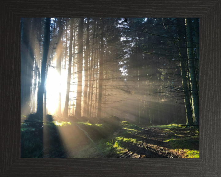 morning light at skipton Lancashire Photo Print - Canvas - Framed Photo Print - Hampshire Prints