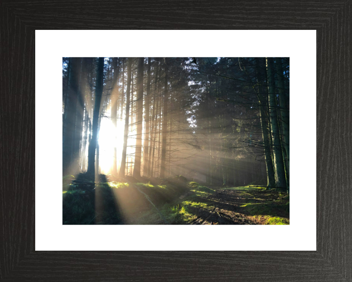 morning light at skipton Lancashire Photo Print - Canvas - Framed Photo Print - Hampshire Prints