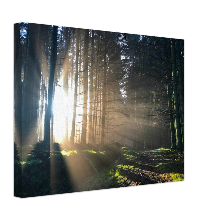 morning light at skipton Lancashire Photo Print - Canvas - Framed Photo Print - Hampshire Prints