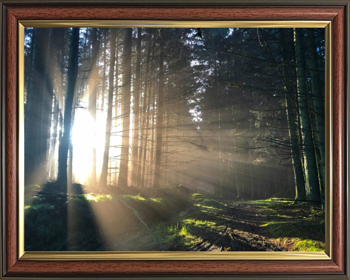 morning light at skipton Lancashire Photo Print - Canvas - Framed Photo Print - Hampshire Prints