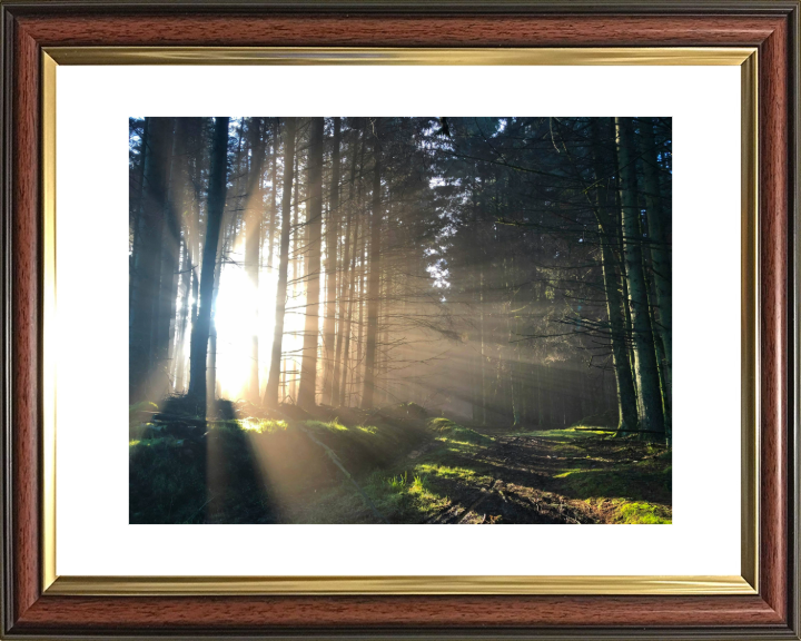 morning light at skipton Lancashire Photo Print - Canvas - Framed Photo Print - Hampshire Prints