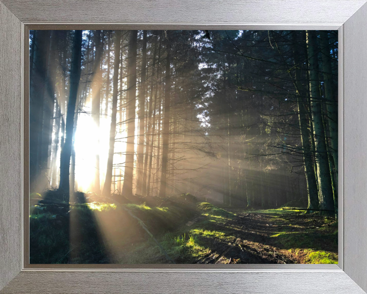 morning light at skipton Lancashire Photo Print - Canvas - Framed Photo Print - Hampshire Prints